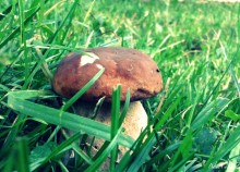 like! / *))