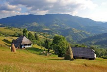 Carpathian pastoral / ***