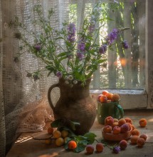 From the series &quot;Summer in the old house ...&quot; / ...