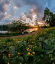 Park in Gatchina. / ***