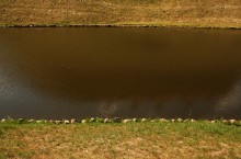 River 2 / Nesvizh, 2014