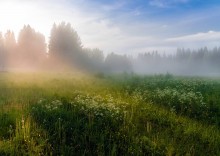 Evening fog ... / ***