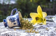 Still life with white currants / ***