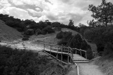 Stony paths / ***