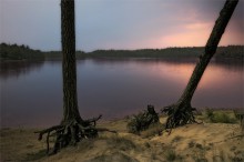 Blue evening / ***
