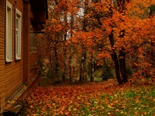 Fall is knocking us out of the window ... / ***