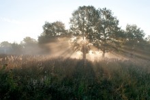 Autumn morning .. / ***