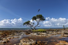 2 000 000 BC / Land of pterodactyls
Florida Key, FL, USA