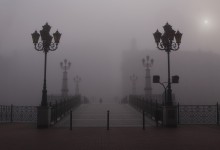 in the fog / ***