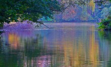 Autumn expanse / ***