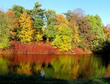 Colors of Autumn / ***