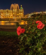 Roses at the fountain. / ***