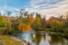 Autumn beautiful strokes / ***