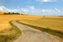 Non-Russian field / ***
