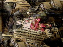 Flower on the grave of the press / ***