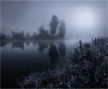 Monochrome morning mist / ***