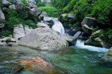 Mountain stream / ***