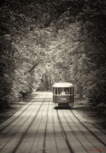 tram / ***