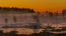 Karelia fog / ***