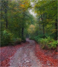 Autumn in the mountains / ---