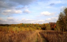 The road to autumn / ***