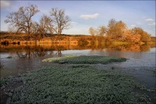 First frost / ***