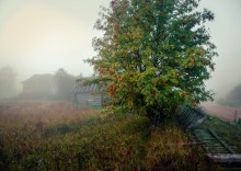 Village in the morning mist ... / ***