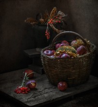 From the series &quot;Time of ripening ...&quot; / ...