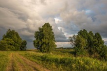 Summer Stroll / ***