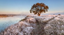 Good morning in October! / ***
