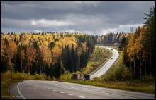 Autumn and roads / ...