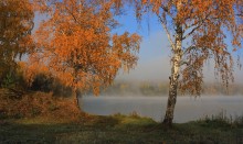 Autumn morning / ***