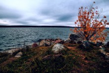 Beloyarsk Reservoir, October / ***