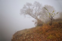 Autumn morning mist / ***