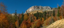 Stony Sea Ridge / ***