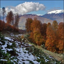 Autumn on the &quot;Krasnaya Polyana&quot; / ***