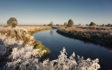 Frosty Morning / ***