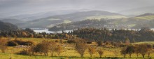 Landscape with lambs / ***