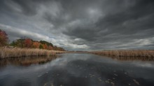 Transparent Autumn / Mer Bleue Bog