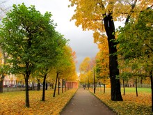 Mikhailovsky park / ***