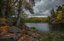 Transparent Autumn @ Pink Lake / Transparent Autumn @ Pink Lake