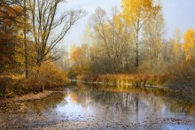 Farewell to the golden autumn. / ***