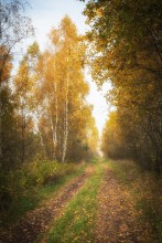 Autumn road / --------