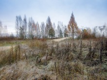 First Frost. / ***