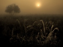 Awakening ... 5 .. / ***