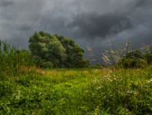 Thunderstorm over the meadow ... / ...