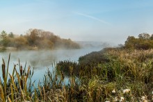 Fog over the river / ***