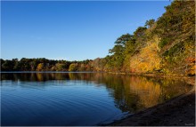 Flax pond / ***