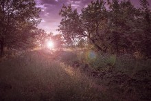 Sunset on the outskirts of the city / ***