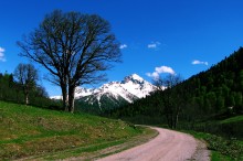 Spring / ***